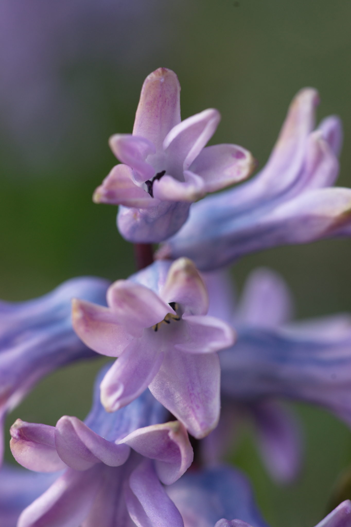 20210324  Gruen(t)raumHeimfeld 010